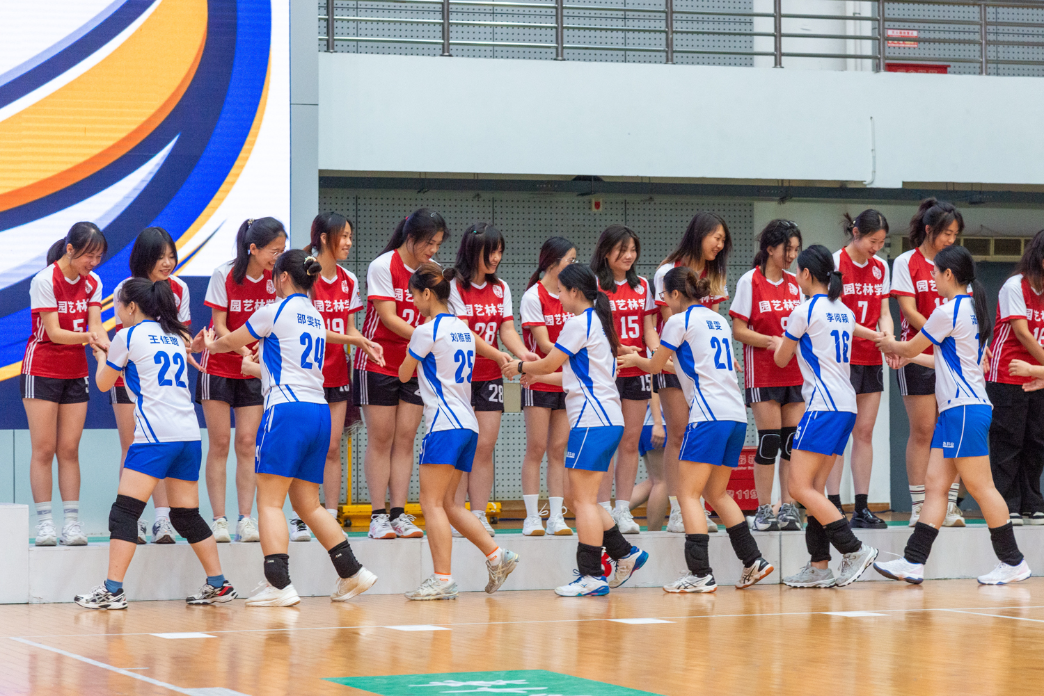 颁奖仪式动科动医学院女子排球队与园艺林学学院女子排球队握手致意（学通社记者 魏雨城 摄）